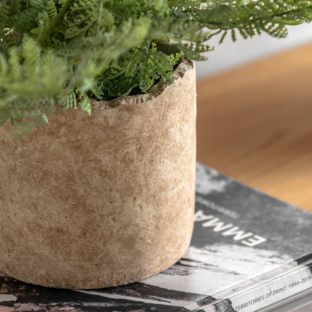 Artificial Fern in Cement pot - Image 2