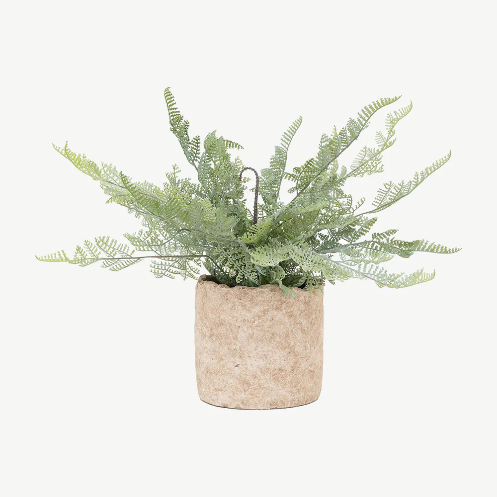 Artificial Fern in Cement pot - Image 3