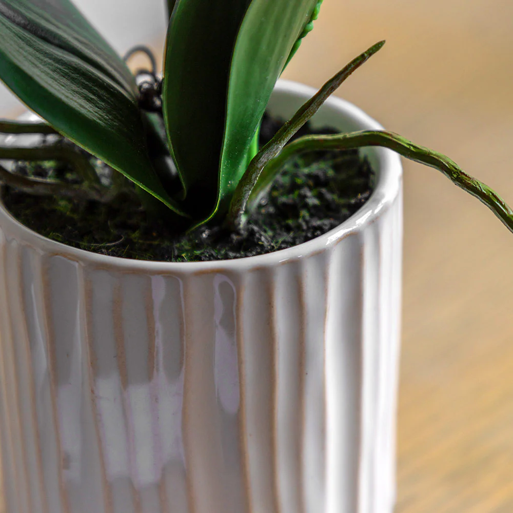 Artificial Cream Orchid in Ribbed White Ceramic Pot - Image 2