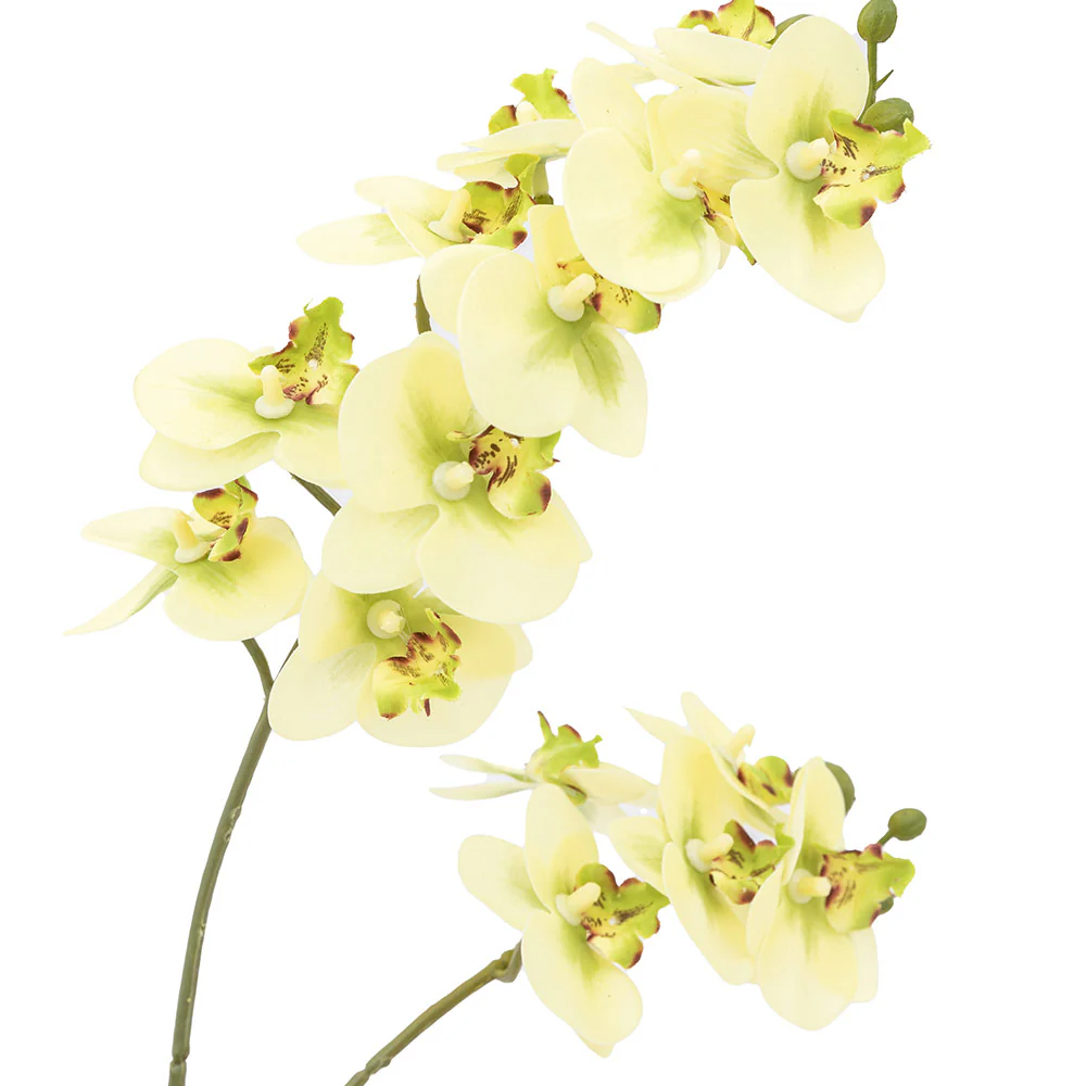 Artificial Cream Orchid in Ribbed White Ceramic Pot - Image 9
