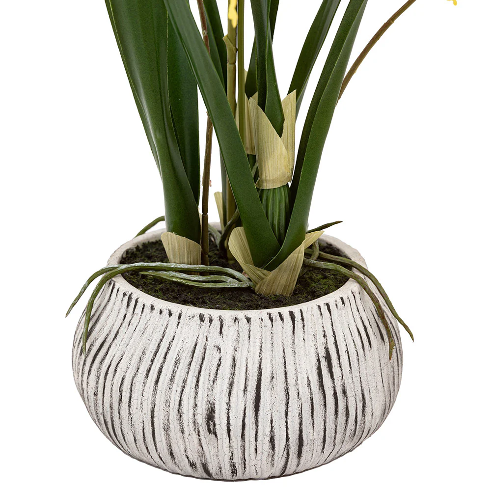 Artificial Orchid in Low Ceramic Pot - Image 5
