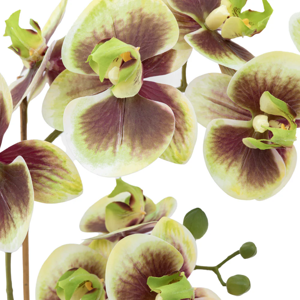 Artificial Orchid Multicolour in Moss Ceramic Dot Pot - Image 6