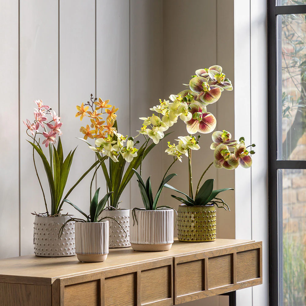 Artificial Orchid Multicolour in Moss Ceramic Dot Pot - Image 7