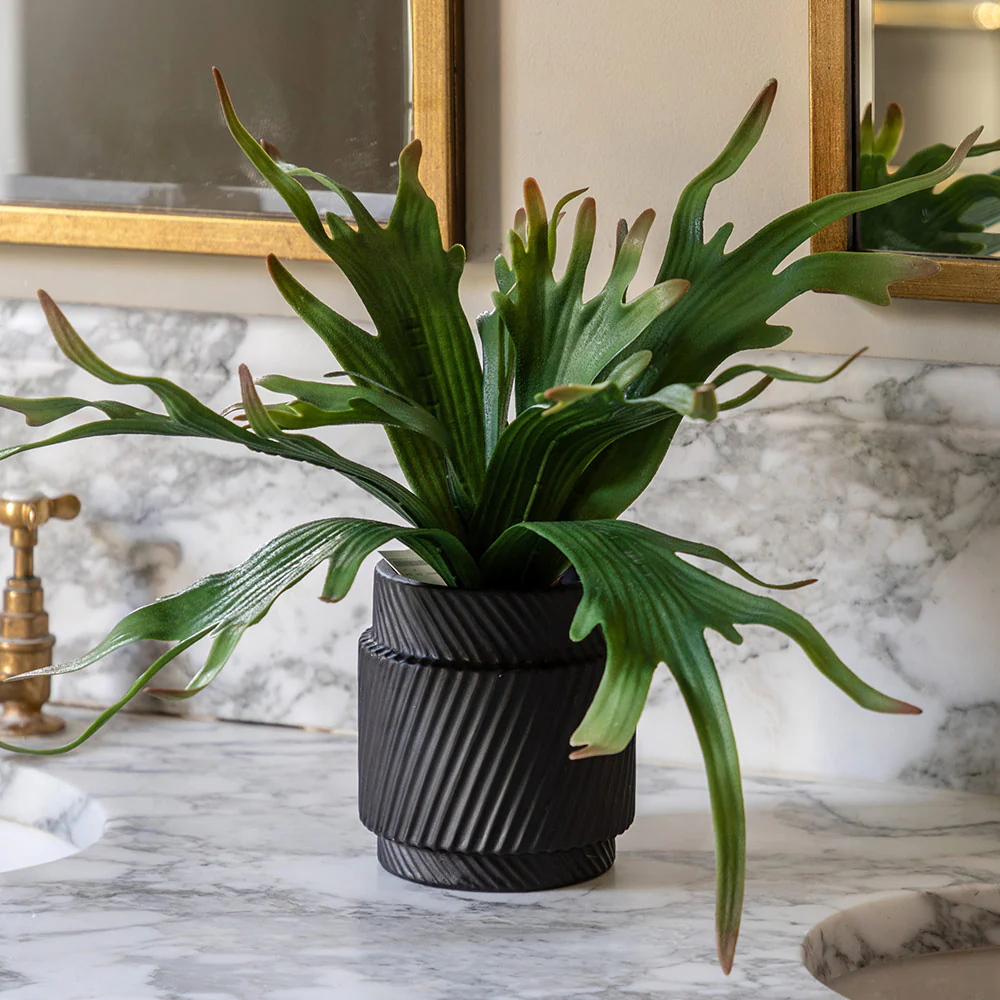 Artificial Playycerium Multi Colour in Ceramic Pot