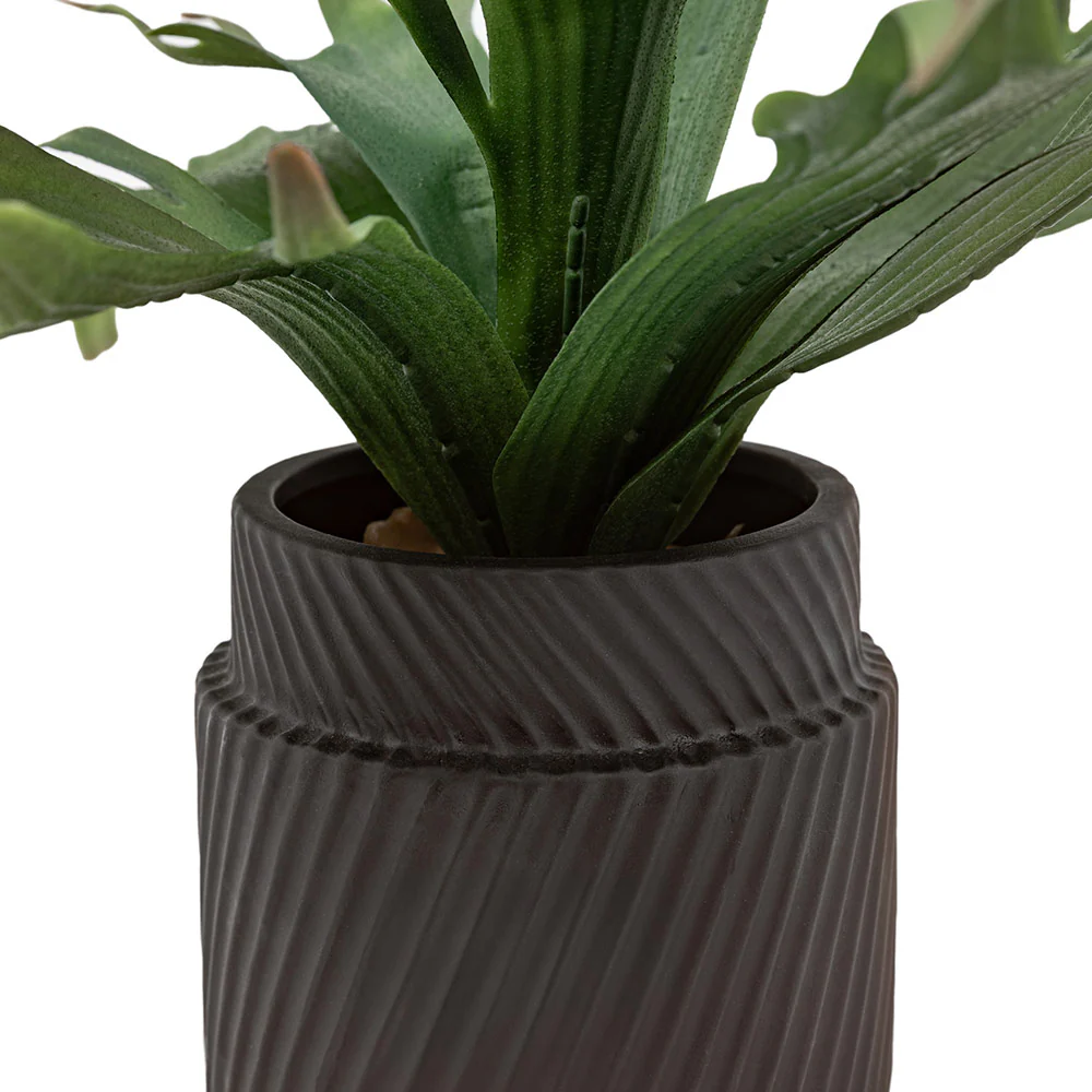 Artificial Playycerium Multi Colour in Ceramic Pot - Image 4
