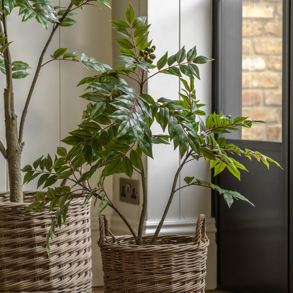 Artificial Potted Chinese White Olive Tree - Image 5