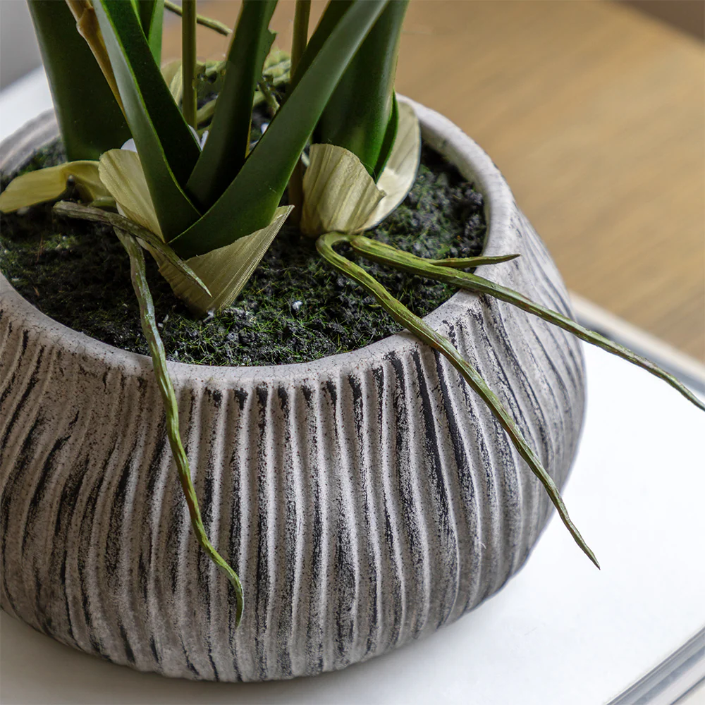 Artificial White Orchid in Low Ceramic Pot - Image 3