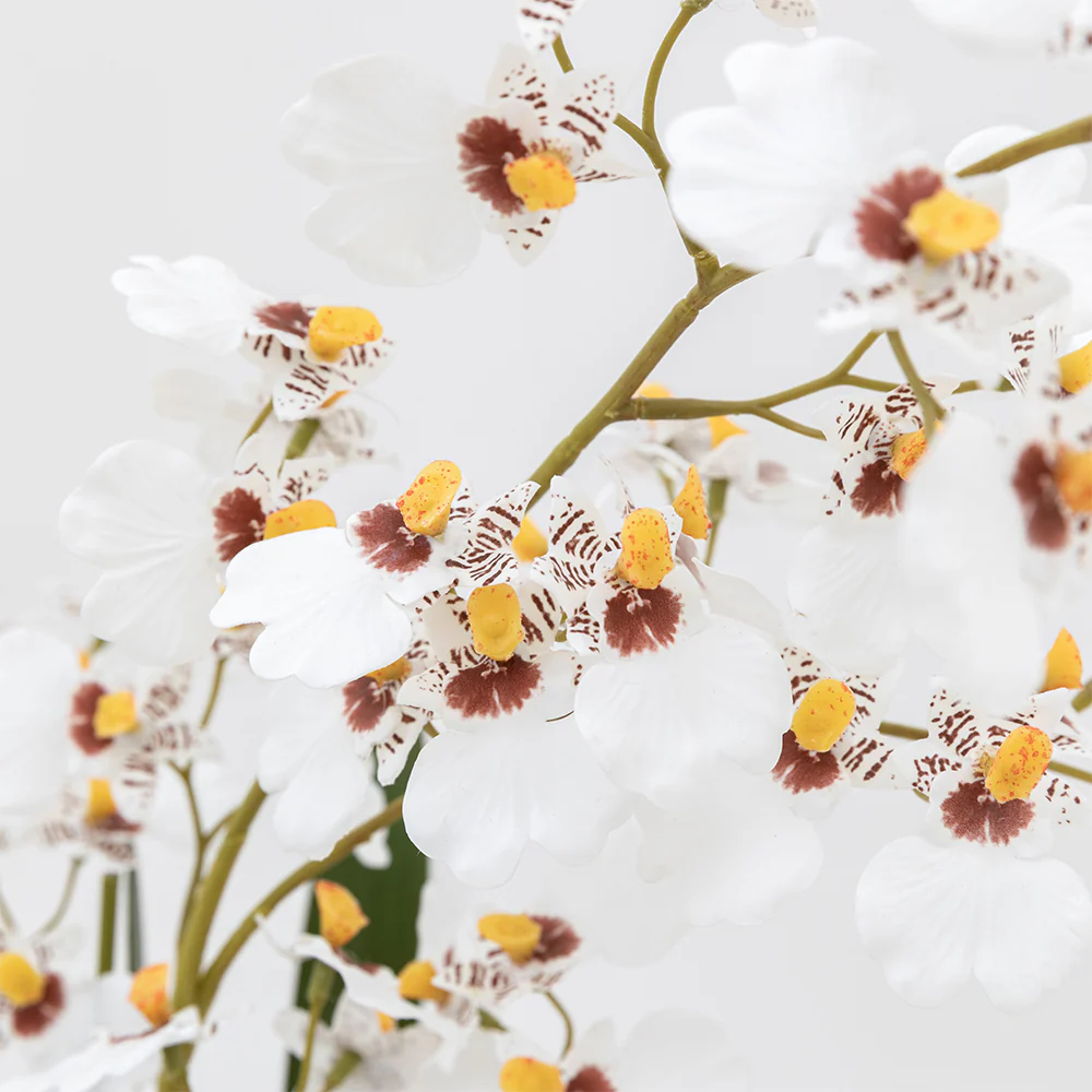 Artificial White Orchid in Low Ceramic Pot - Image 5