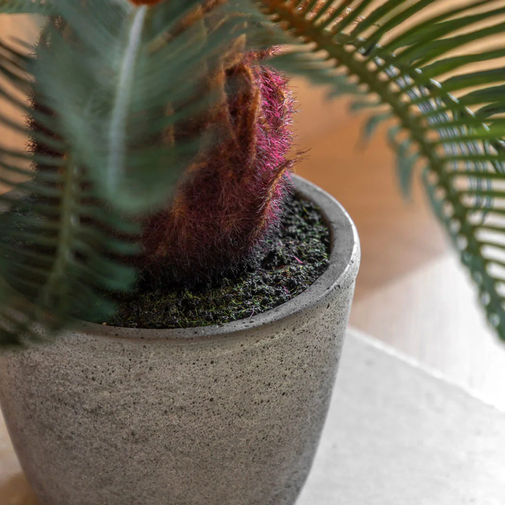 Artificial Wide Palm in Concrete Pot - Image 2