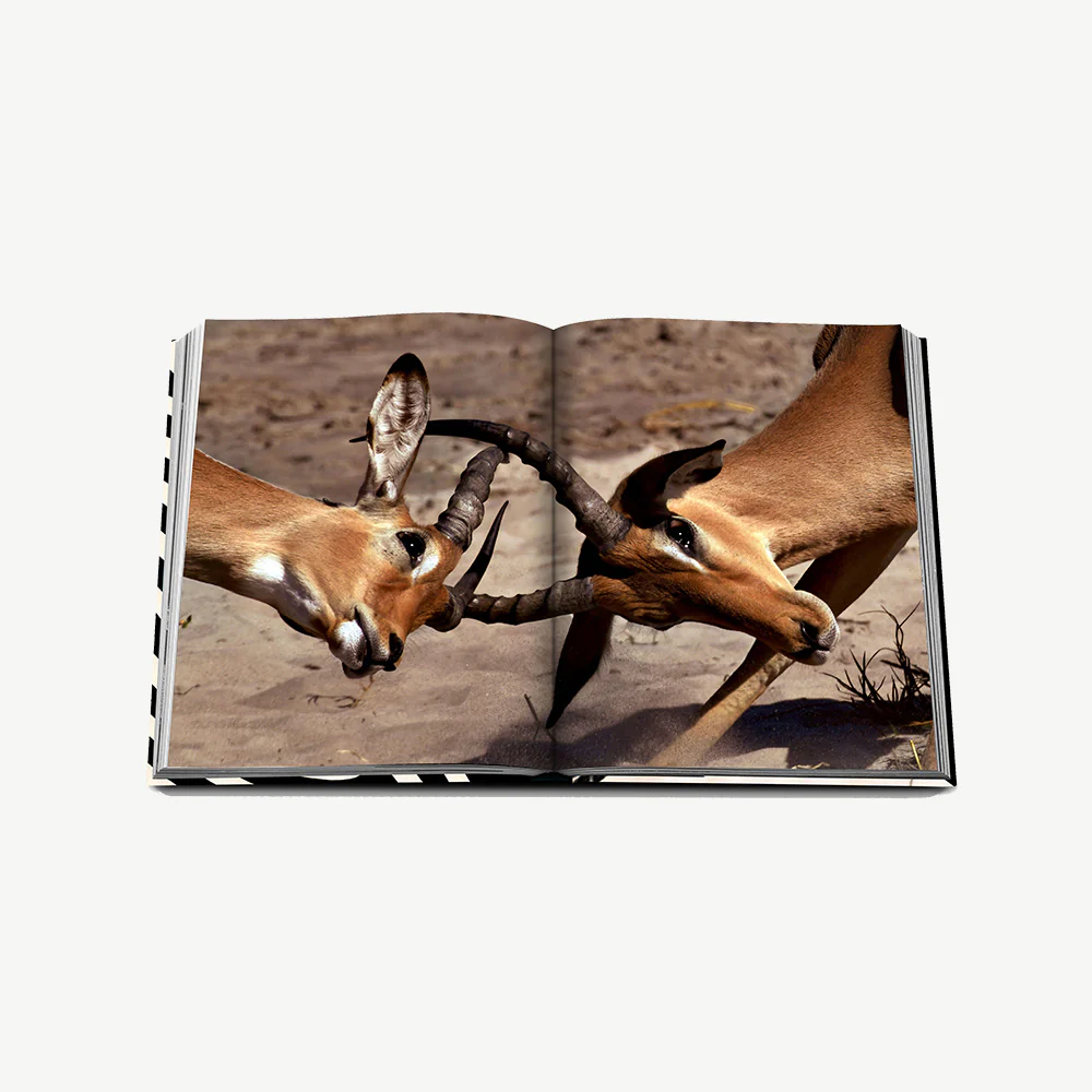 Assouline African Adventures book - Image 9