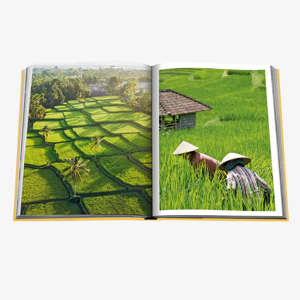 Assouline Bali Mystique Book - Image 9