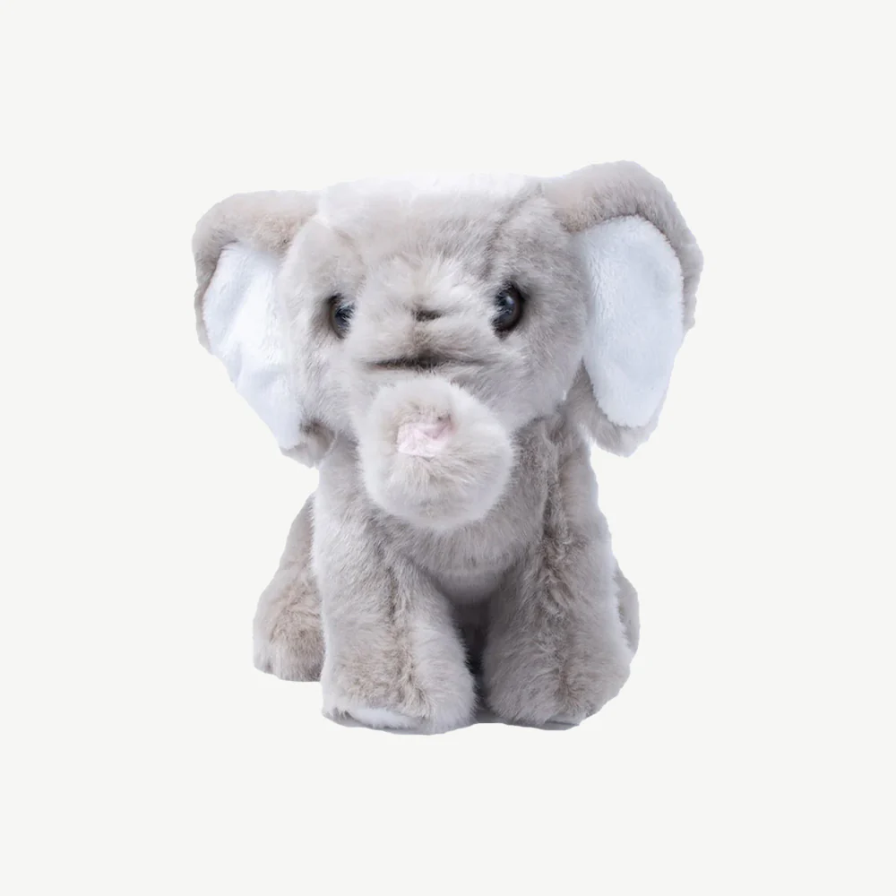 Chester Zoo Plush Elephant Teddy
