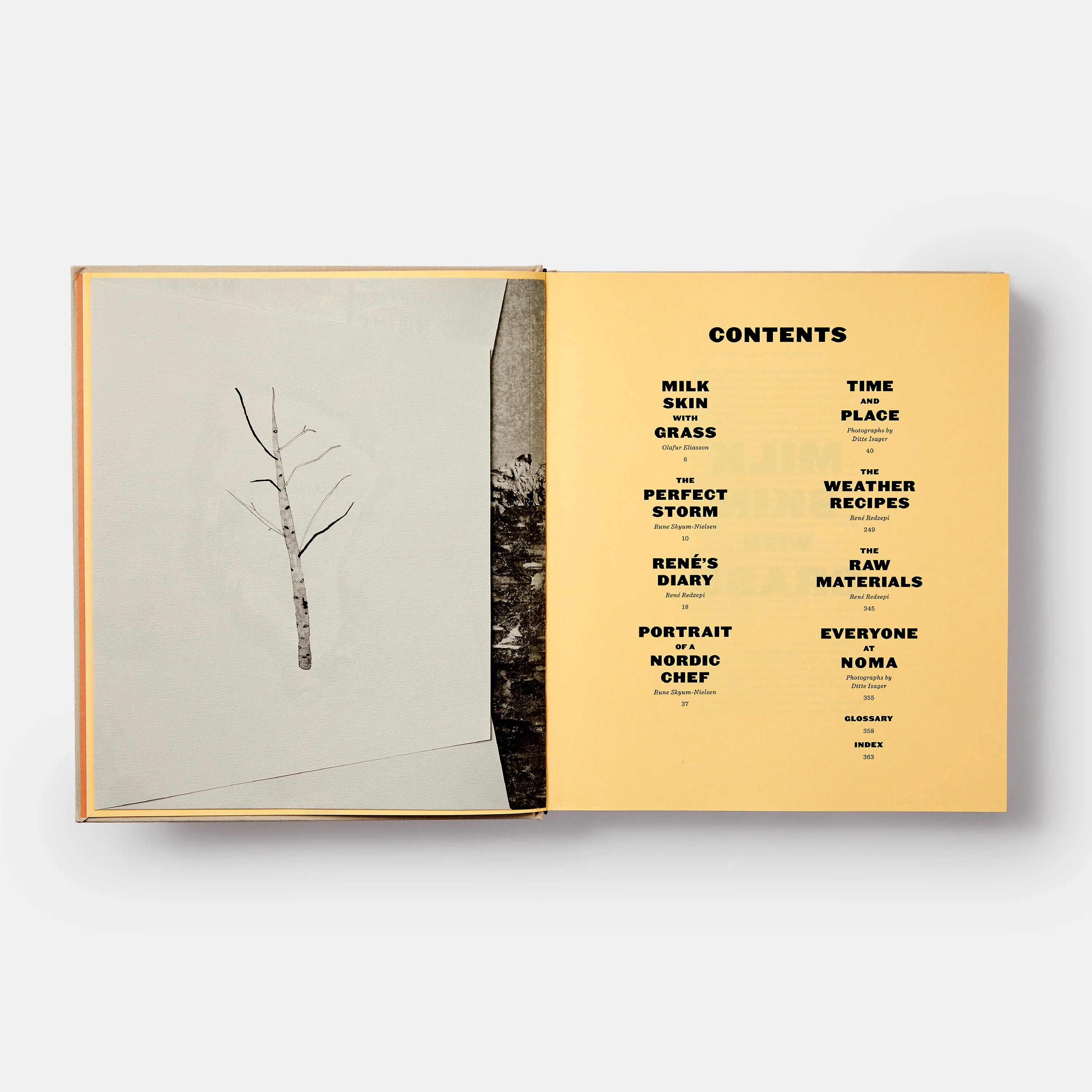 Noma: Time and Place in Nordic Cuisine - Image 2