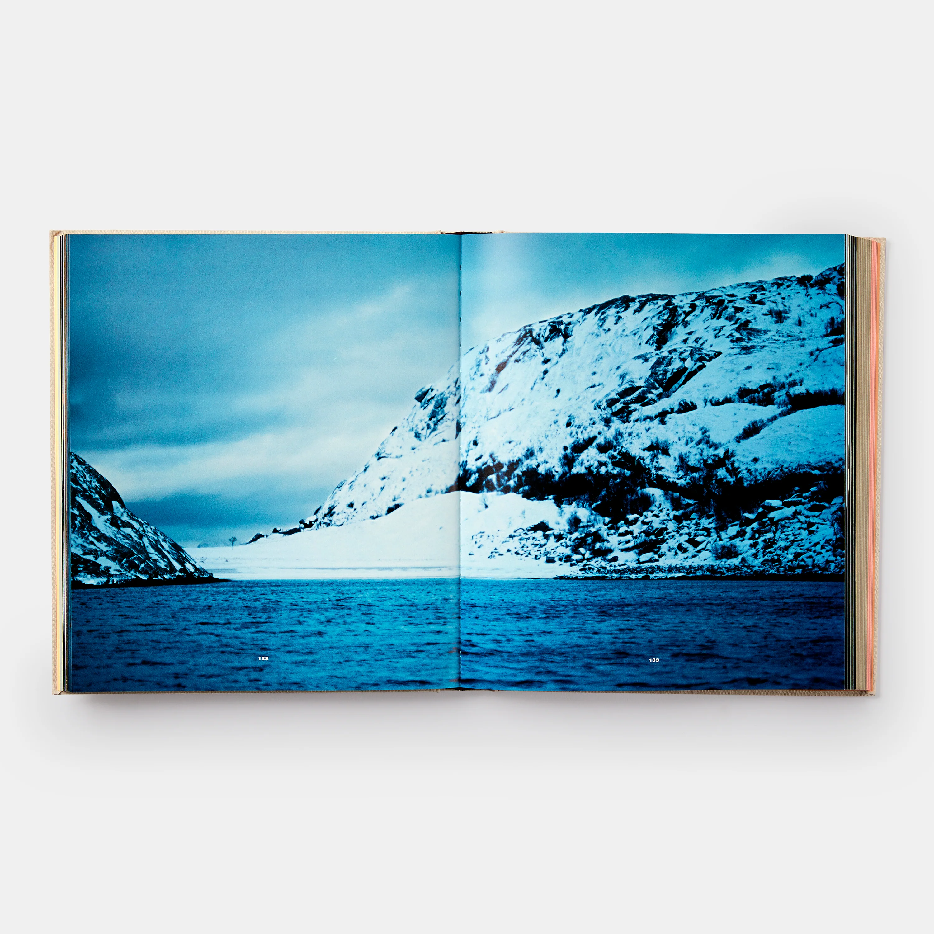 Noma: Time and Place in Nordic Cuisine - Image 5