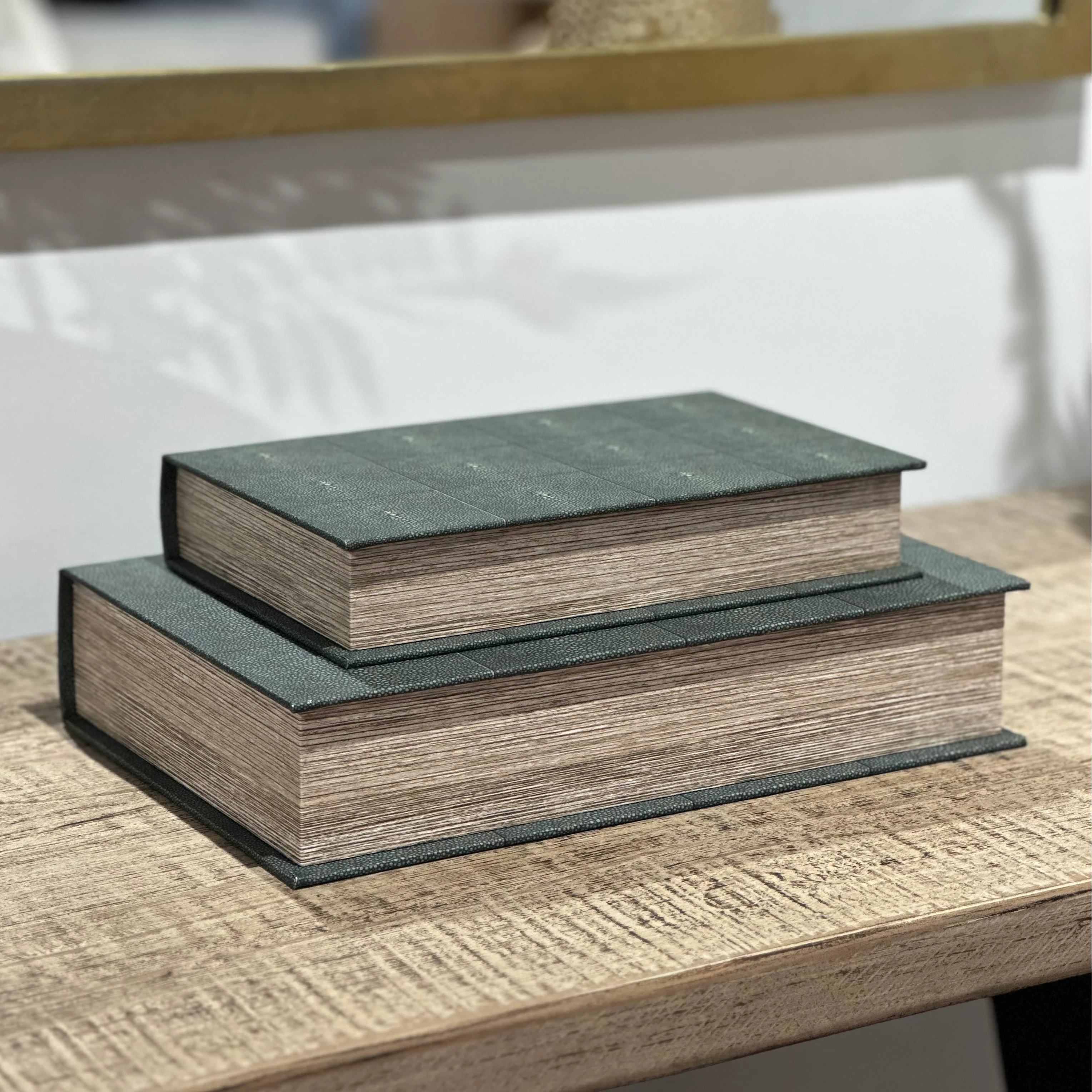 Set of 2 Faux Shagreen Book Boxes - Image 4