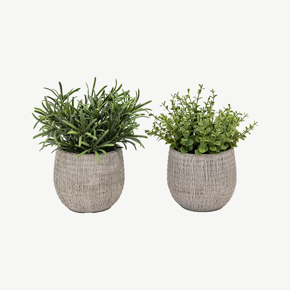 Set of 2 Potted Plant Ceramic Scratch Pots Rosemary - Image 2