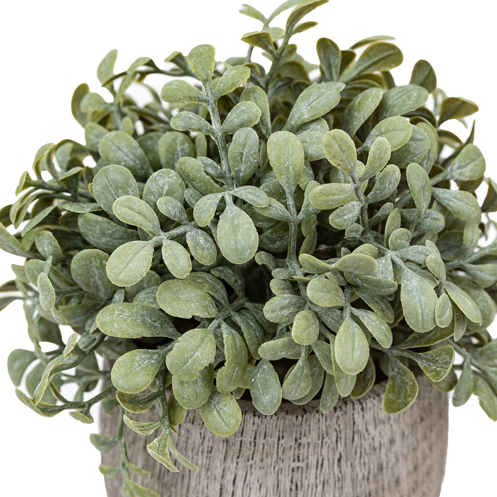 Set of 2 Potted Plant Ceramic Scratch Pots Sage - Image 5