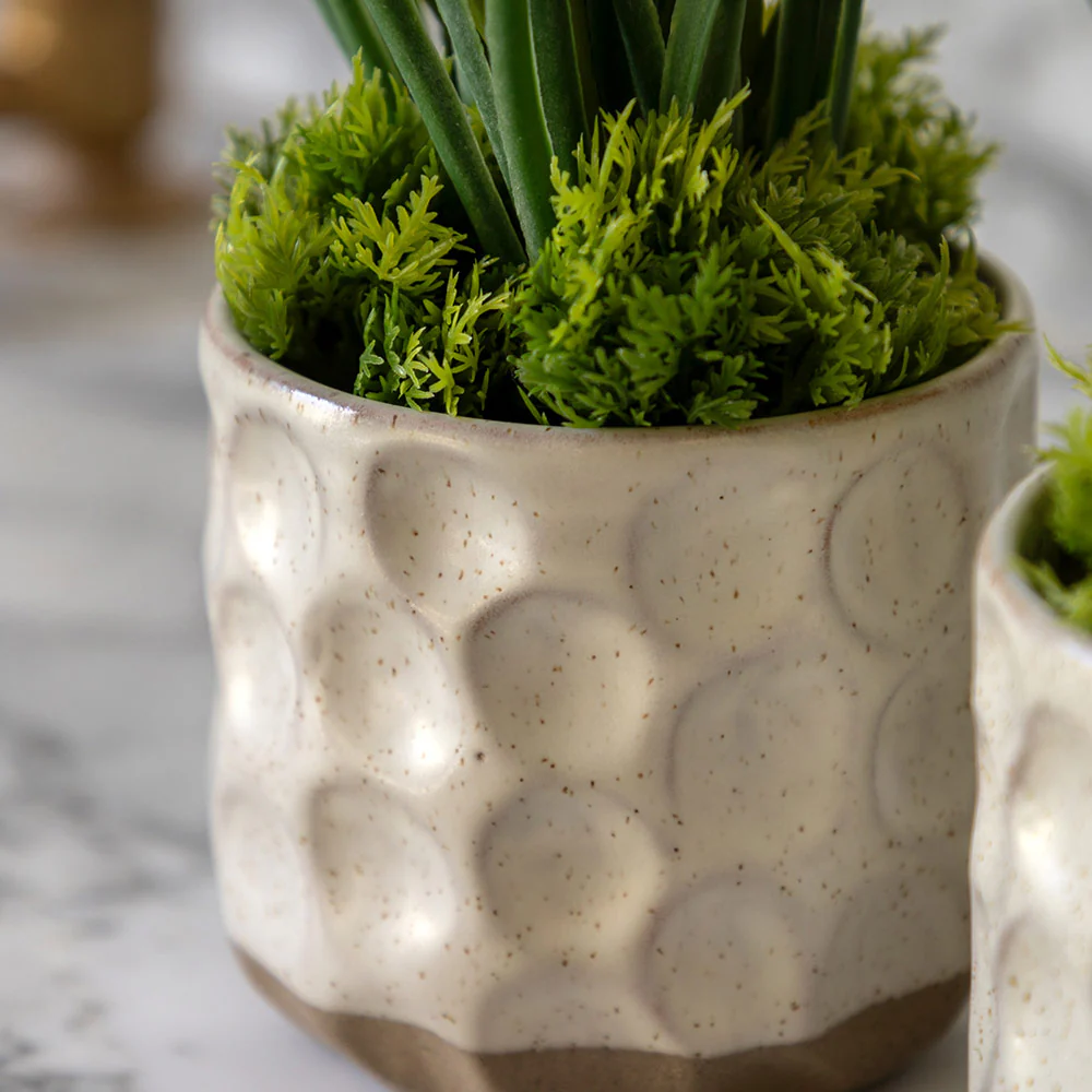 Set of 2 Spring Hydrangea in Ceramic Pots - Image 4