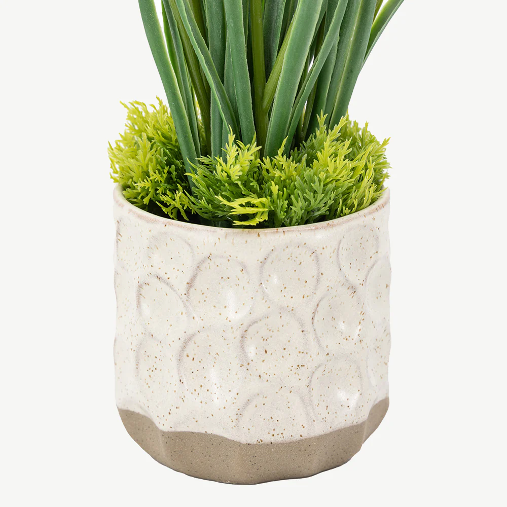 Set of 2 Spring Hydrangea in Ceramic Pots - Image 9