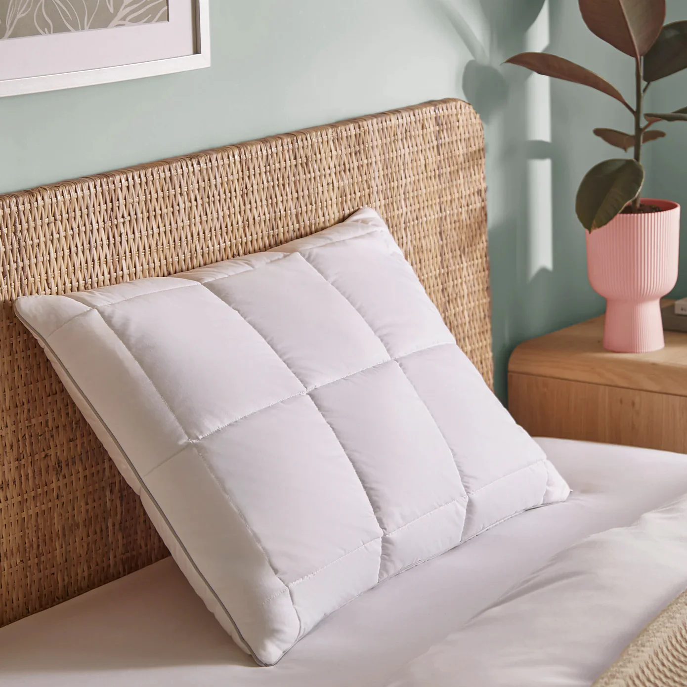 Specialist Latex Pillow